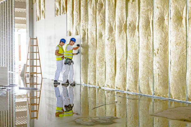 Best Geographic-Specific Insulation Services in Creighton, NE